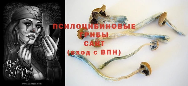 скорость Алексин